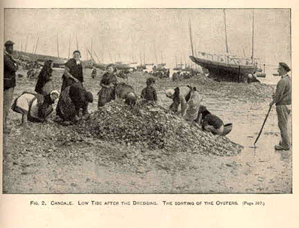 Oysters - Cancal, France (1889)